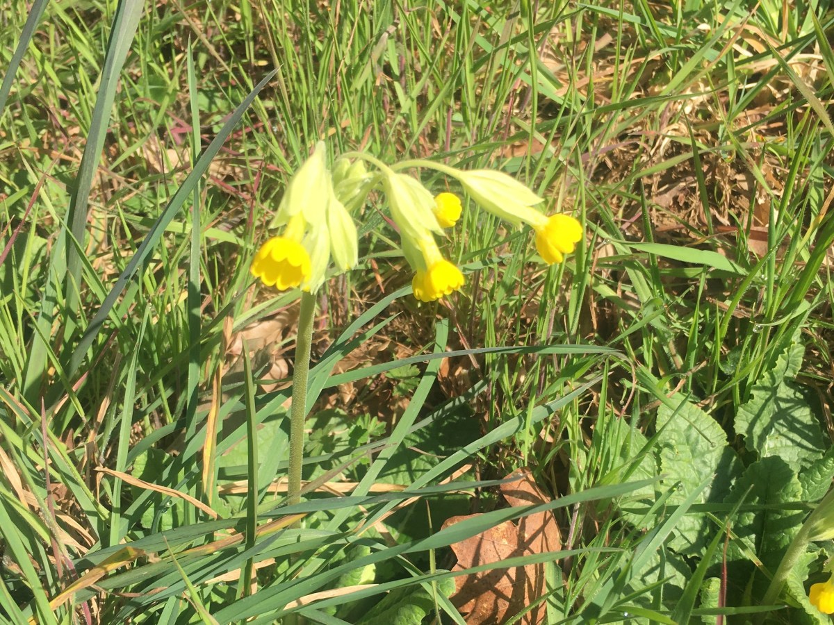 A Stroke of&nbsp;Luck